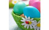 Поздравляем со светлым праздником Пасхи!